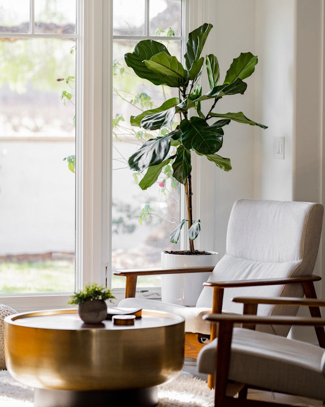 How to Choose a Washable Area Rug for Everyday Life