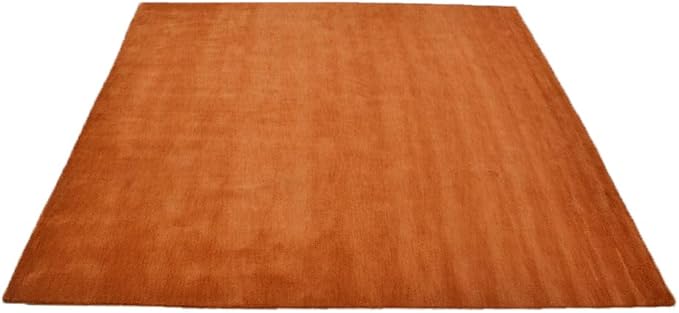 Hand Knotted Loom Wool ECO-Friendly Area Rugs - 10'x10', Square, Orange Color, Solid Plain Design, High Pile Handmade Anti Skid Area Rugs for Living Room, Bed Room (L00111)