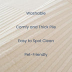 Revival Rugs Record 9'2"x12'2" Washable Area Rug for Living Room Bedroom - 100% Recycled Oeko-TEX Certified, Medium Pile, Beige, Cream