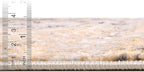 Rugs.com Leipzig Collection Rug – 5 Ft Square Beige Low-Pile Rug Perfect for Living Rooms, Kitchens, Entryways