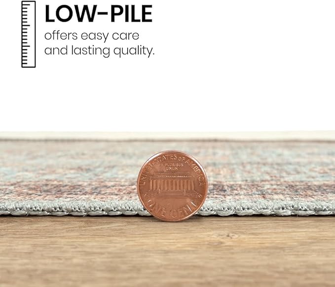 GLN Rugs Traditional Collection - Machine Washable Area Rug, Traditional Washable, Non Slip, Low Pile Chenille Rug, Living Room, Bedroom, Kitchen Rug (4' x 6' Light Blue)