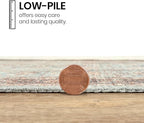 GLN Rugs Traditional Collection - Machine Washable Area Rug, Traditional Washable, Non Slip, Low Pile Chenille Rug, Living Room, Bedroom, Kitchen Rug (4' x 6' Light Blue)