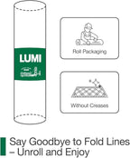 LUMI Front Door Mat Indoor Entrance 48"x72", Low Profile Welcome Mat, Non-Slip Washable Doormat with Rubber Backing for Entrance, Patio, Garage, Green
