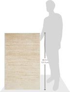 SAFAVIEH Adirondack Collection Accent Rug - 2'6" x 4', Champagne & Cream, Modern Ombre Design, Non Shedding & Easy to Clean, Ideal for Front Door, Kitchen, Entryway, Accent Space (ADR113W)