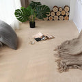 Soft Cashmere Area Rug Luxury Bedside Carpet Bedroom Living Room Mats Solid Color Children's Room Rugs Runner Carpets Indoor Mats Home Décor White Gray Red 1.3' X 2'