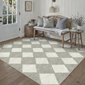 5x7 Checkered Area Rugs for Living Room Grey Machine Washable Large Rug Non-Slip Stain Resistant Low Pile Boho Accent Indoor Throw Carpet for Office Bedroom Dining Room Classroom