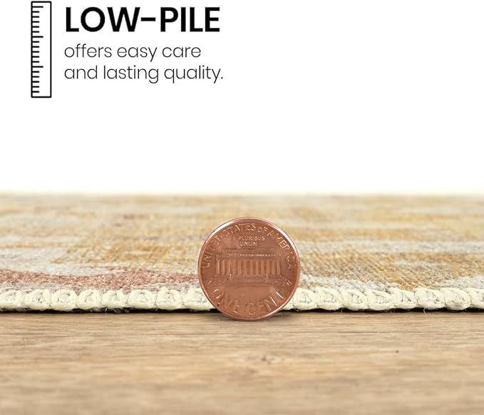 GLN Rugs Traditional Collection - Machine Washable Area Rug, Traditional Washable, Non Slip, Low Pile Chenille Rug, Living Room, Bedroom, Kitchen Rug (5' x 7' Sand/Light Gray)