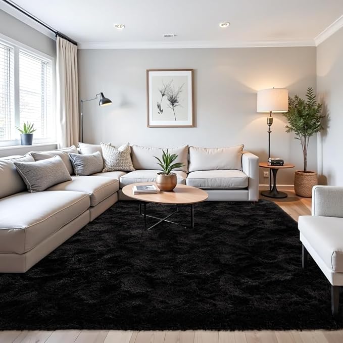 Beglad Fluffy Area Rugs 3 x 5 Feet, Modern Minimalist Style Shag Rugs, Non-Slip Indoor Carpet Soft Rugs for Bedroom, Living Room, Black