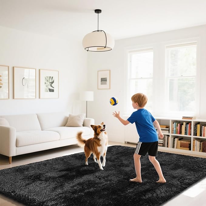 Fluffy Rug Shaggy Area Rug, Black 3x5 Area Rugs for Bedroom, Small Bedside Rug, Soft Fluffy Shaggy Entryway Throw Rugs for Living Room Bedroom Kids Room Home Decor