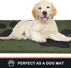 PURRUGS Dirt Trapping Door Mat 20" x 31.5", Non-Skid/Slip Machine Washable Microfiber Entryway Rug, Dog Doormat, Super Absorbent Welcome Mat for Muddy Wet Shoes and Paws, Green