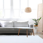 duduta White Soft Fluffy Rectangle Rug 3x5 ft, Shag Furry Plush Throw Rug for Bedroom Nursery Living Room Home Decor