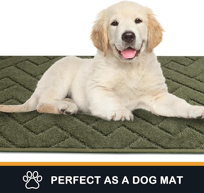 PURRUGS Dirt Trapping Door Mat 32" x 47", Non-Slip Machine Washable Entry Rug, Shoe Scraper, Dog Doormat, Super Absorbent Welcome Mat for Front & Back Door, Muddy Wet Shoes & Paws, Sage Green