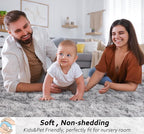 Beglad Fluffy Area Rugs 4x6 Feet, Modern Minimalist Style Shag Rugs, Non-Slip Indoor Carpet Soft Rugs for Bedroom, Living Room & Kids Room, Tie-Dyed Light Grey