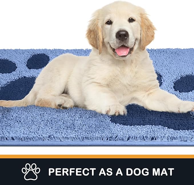 PURRUGS Dirt Trapping Door mat 20" x 31.5", Non-Skid/Slip Machine Washable Microfiber Entryway Rug, Dog Door Mat, Super Absorbent Welcome Mat for Muddy Wet Shoes and Paws, Light Blue