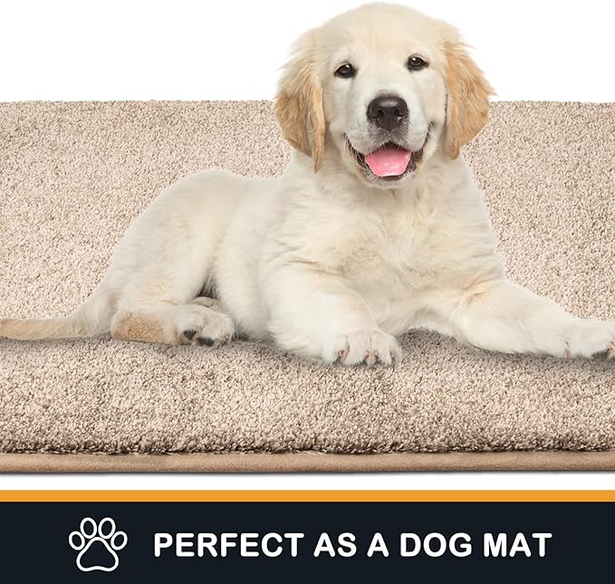 PURRUGS Dirt Trapping Door Mat 20" x 31.5", Non-Slip Machine Washable Entry Rug, Shoe Scraper, Dog Doormat, Super Absorbent Welcome Mat for Front & Back Door, Muddy Shoes & Paws, Taupe