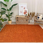 Alfa Rich 4x6 Burnt Orange Washable Area Rugs for Living Room Bedroom Kitchen Cotton Solid Decor Rug