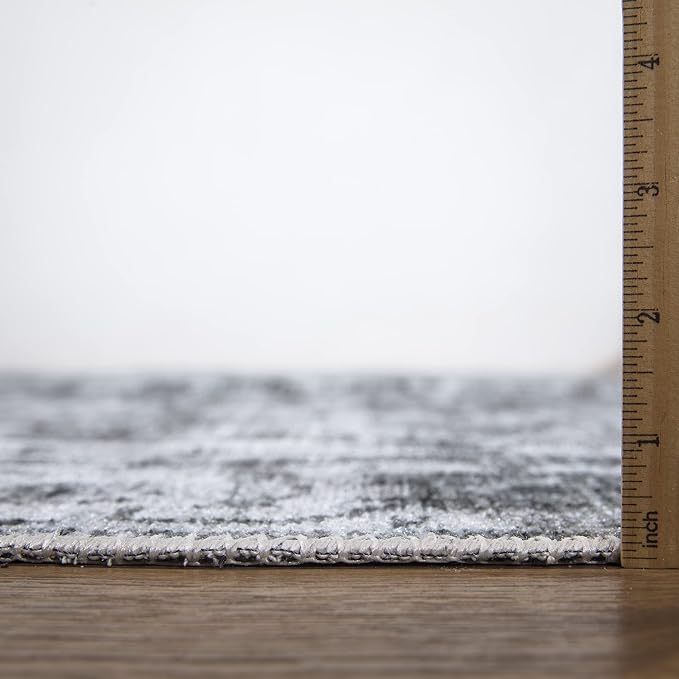 Bloom Rugs Caria Washable Non-Slip 9x12 Rug - Silver/Dark Gray Traditional Area Rug for Living Room, Bedroom, Dining Room, and Kitchen - Exact Size: 9' x 12'