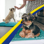 Muddy Mat® Shown on TV – Super Absorbent Door Mat Indoor, Microfiber Quick Dry Chenille Entryway Rug, Non-Slip Front Door Mat, Indoor Mats for Entryway, Machine Washable Pet Rug, Teal 24"x36"