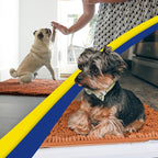 Muddy Mat® | Super Absorbent Door Mat Indoor, Microfiber Quick Dry Chenille Entryway Rug, Non-Slip Front Door Mat, Indoor Mats for Entryway, Machine Washable Pet Rug, Orange XXXL 72"X48"
