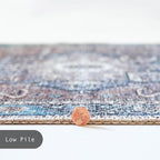 GLN Rugs Traditional Collection - Machine Washable Area Rug, Traditional Washable, Non Slip, Low Pile Chenille Rug, Living Room, Bedroom, Kitchen Rug (4' x 6' Brown/Blue)