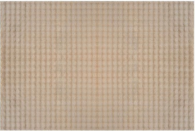 CAMILSON Modern Beige Non Slip Door Mat Rug 2x3 Ultra Soft High Pile Entryway Rugs Non Skid Rubber Backing Durable & Easy to Clean Carpet for Kitchen Bathroom Indoor Use (2 x 3 Beige)