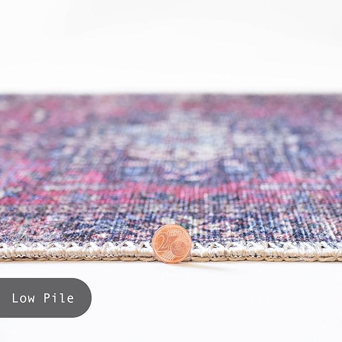 GLN Rugs Traditional Collection - Machine Washable Area Rug, Traditional Washable, Non Slip, Low Pile Chenille Rug, Living Room, Bedroom, Kitchen Rug (2'6" x 7' Multi Blue)