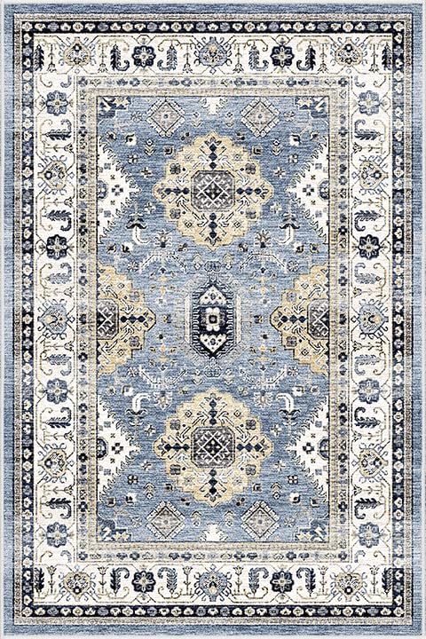 Dripex Vintage Collection Washable Area Rug - 2x3 Door Mat Small Entryway Rug Distressed Non-Slip Low-Pile Floor Carpet for Indoor Front Entrance Kitchen Bathroom Living Room Bedroom
