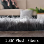Latepis Dark Gray 2x5 Rug Runner Shaggy Machine Washable Faux Fur Rug Fluffy Shag Rugs for Living Room Bedroom Throw Rugs Room Runner