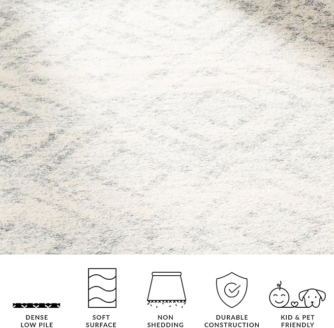 SAFAVIEH Adirondack Collection Accent Rug - 3' x 5', Ivory & Light Blue, Modern Distressed Design, Non-Shedding & Easy Care, Ideal for High Traffic Areas in Entryway, Living Room, Bedroom (ADR131T)