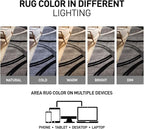 Rugshop Wavy Circles Design Area Rug, Non-Shedding Carpet for Living Room, Dining Room, or Bedroom, Gray, 7'10" x 10'2"