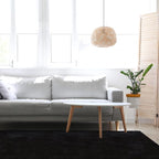 duduta Black Soft Fluffy Rug 4x6 ft, Shag Fuzzy Plush Rectangle Carpet for Bedroom Nursery Living Room Home Decor