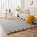 MAXYOYO Grey Coral Velvet Area Rug, Thick Japanese Tatami Mat Living Room Carpet with Non-Slip Backing, Large Solid Color Mat for Bedroom Dormitory Yoga, 78 by 158 inch