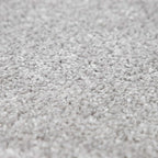 Paco Home Solid Area Rug in Silver Modern Plain Design, Size: 2' x 3'3"