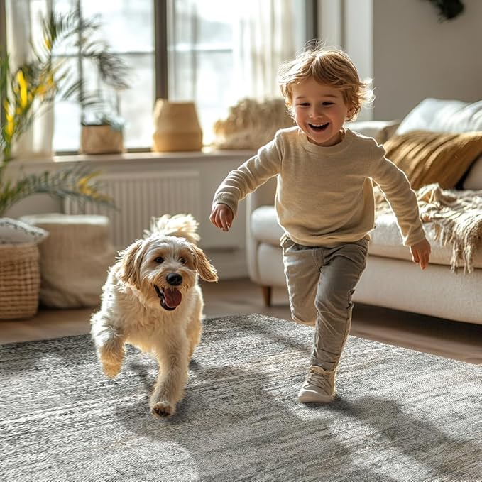 Bavni 10x14 Area Rugs, Modern Living Room Rugs Low Pile, Large Machine Washable Rug Non-Slip, Soft Pet Friendly Rugs for Bedroom, Playroom, Dining Room, Granite Gray
