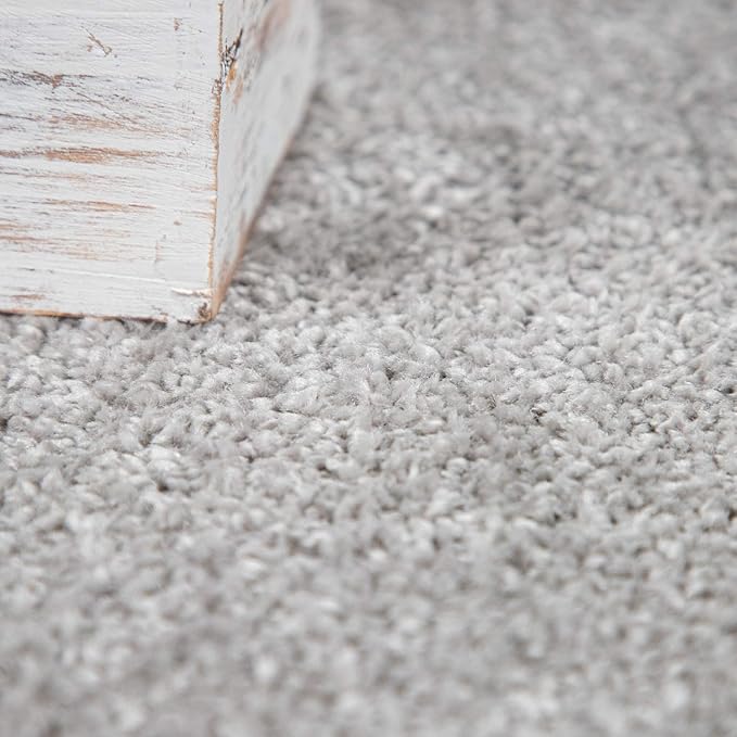 Paco Home Solid Area Rug in Silver Modern Plain Design, Size: 2' x 3'3"