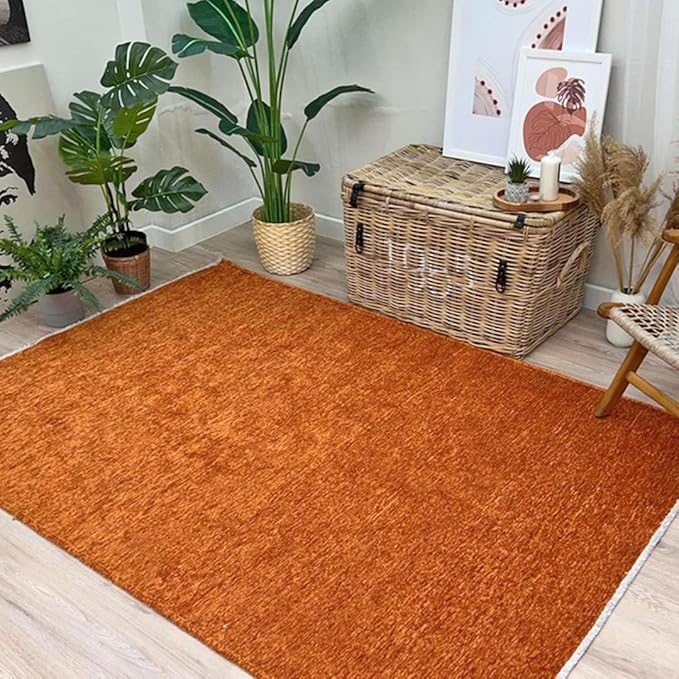 Alfa Rich 5x8 Burnt Orange Washable Area Rugs for Living Room Bedroom Kitchen Cotton Solid Decor Rug