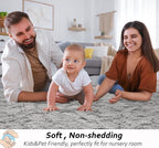 Beglad Fluffy Area Rugs 3 x 5 Feet, Modern Minimalist Style Shag Rugs, Non-Slip Indoor Carpet Soft Rugs for Bedroom, Living Room, Grey