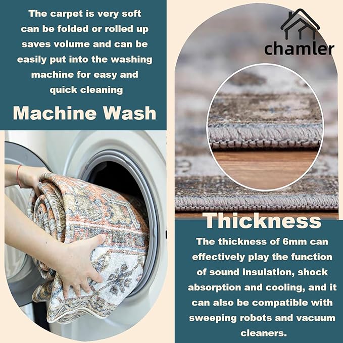 8x10 Area Rug Washable Vintage Traditional Mat Distressed Indoor Foldable Thin Retro Accent Floral Non Slip Carpet Rugs for Living Room Dining Room Office