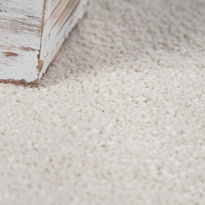Paco Home Solid Area Rug in Cream Modern Plain Design, Size: 2'8" x 4'11"