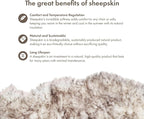 Sheepskin Long Hair 2x3 ft | Bedside Rugs for bedrooms, Sofa, Chair or The Dining Table | Each Sheepskin Rug is Unique and Created by Nature | Small Fluffy Rug in Color Snow Peak
