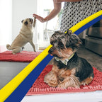 Muddy Mat® Shown on TV – Super Absorbent Microfiber Dog Door Mat for Muddy Paws, Non-Slip Washable Pet Rug, Quick Dry Chenille Entryway Carpet, Machine Washable Indoor Outdoor mat, Red 28"x18"