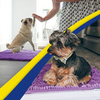Muddy Mat® AS-SEEN-ON-TV Highly Absorbent Microfiber Door Mat and Pet Rug, Non Slip Thick Washable Area and Bath Mat Soft Chenille for Kitchen Bathroom Bedroom Indoor and Outdoor - Purple 24" x 72"