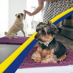 Muddy Mat® | Super Absorbent Door Mat Indoor, Microfiber Quick Dry Chenille Entryway Rug, Non-Slip Front Door Mat, Indoor Mats for Entryway, Machine Washable Pet Rug, Dark Purple 24"x60"