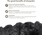 Real Sheepskin Rug 4x6 ft | Sheepskin Rugs for Living Room and Sofa | Bedside Rugs for Bedrooms | Large Fluffy Rug is Breathable & Heat-regulating in Color Dark Grey