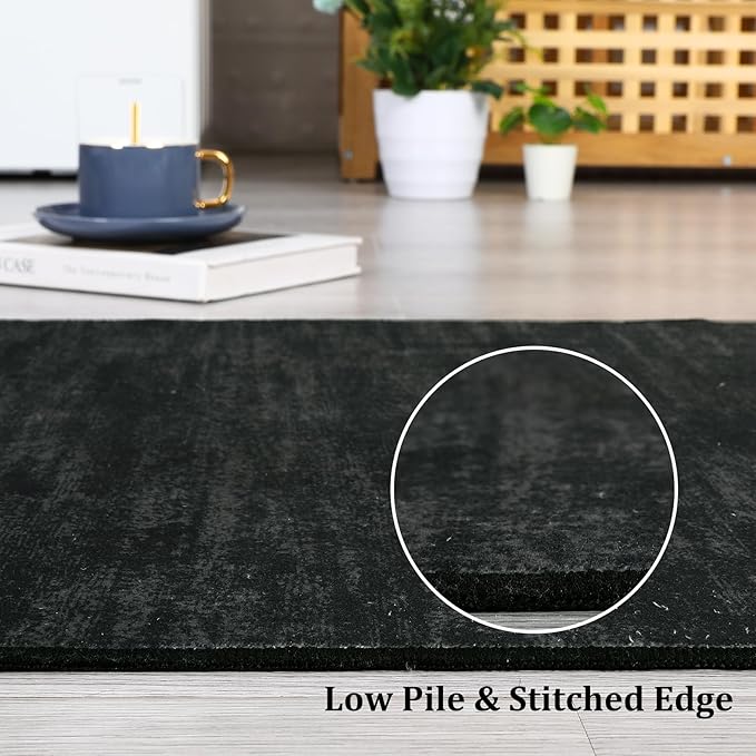 RUGSREAL Modern Area Rug 4x6 Rug for Bedroom Indoor Non-Slip Solid Color Area Rugs Non Slip Washable Contemporary Area Rug Throw Floor Carpet for Bedroom Living Room Kitchen, 4' x 6' Black