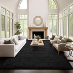 Ophanie Area Rugs 9x12 Living Room, Large Black Bedroom Carpet, Big Shag Indoor Thick Soft Nursery Rug, Fluffy Carpets for Boy and Girls Room Dorm Home Decor Aesthetic