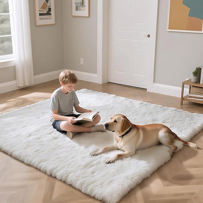 Fluffy Rug Shaggy Area Rug, White 3x5 Area Rugs for Bedroom, Small Bedside Rug, Soft Fluffy Shaggy Entryway Throw Rugs for Living Room Bedroom Kids Room Home Decor