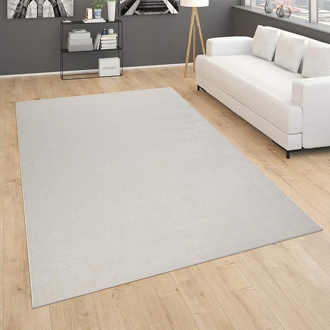 Paco Home Solid Area Rug in Cream Modern Plain Design, Size: 2' x 3'3"