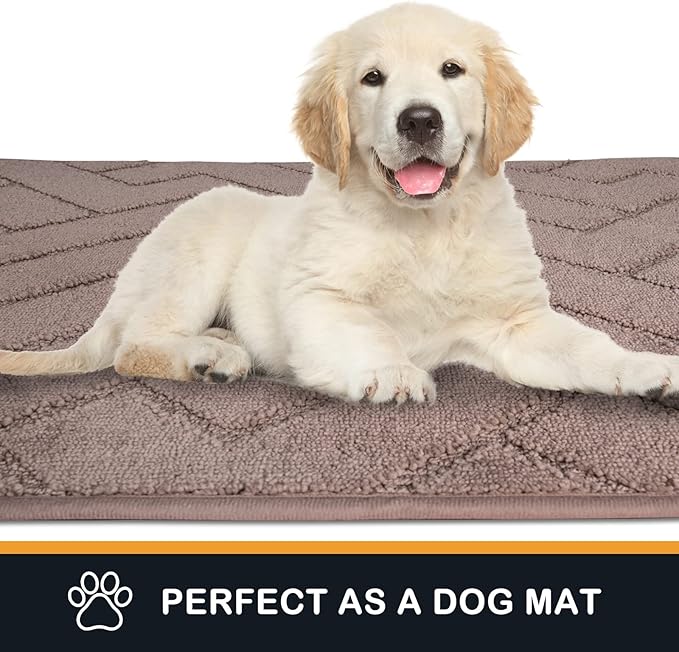 PURRUGS Dirt Trapping Door Mat 20" x 31.5", Non-Slip Machine Washable Entry Rug, Shoe Scraper, Dog Doormat, Super Absorbent Welcome Mat for Front & Back Door, Muddy Wet Shoes & Paws, Grayish Brown