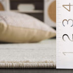 SAFAVIEH Adirondack Collection Runner Rug - 2'6" x 10', Sage & Ivory, Modern Ombre Design, Non Shedding & Easy to Clean, Ideal for Hallway, Foyer, Kitchen, Entryway, Bedroom (ADR113X)
